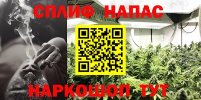 jwh Камышлов