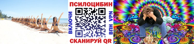 Псилоцибиновые грибы Psilocybe  где купить   Михайловск 