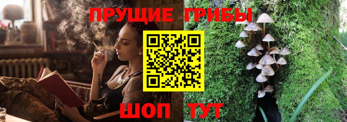 Галлюциногенные грибы Psilocybine cubensis  Псилоцибиновые грибы прущие грибы  Вход с VPN  Михайловск 