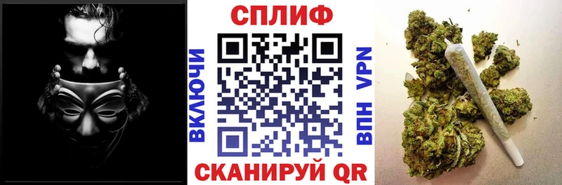 купить наркоту  Михайловск  сайты даркнета состав  Конопля Bruce Banner 